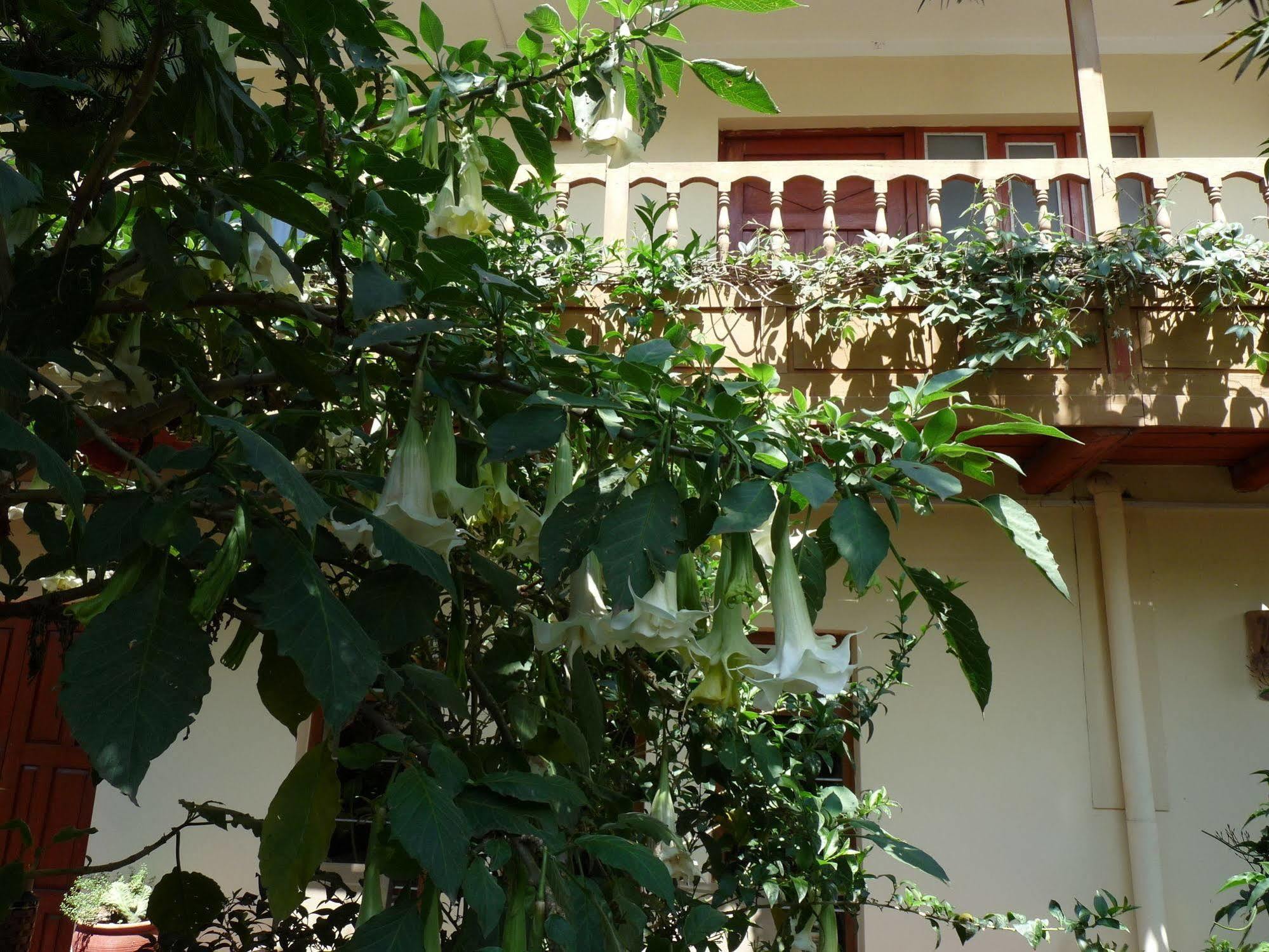 Kukuli Lodge B&B Cuzco Kültér fotó